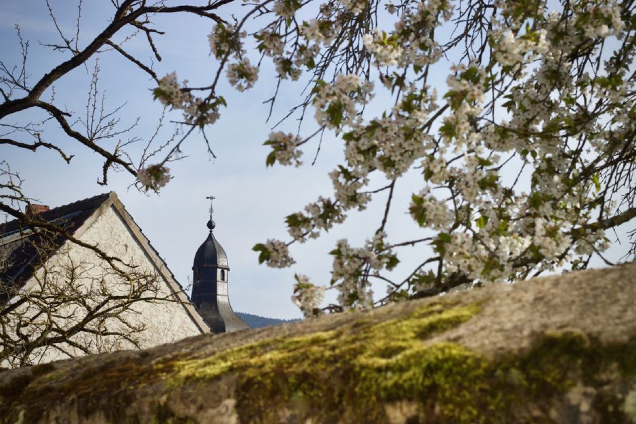 Funeral parlours in Pretoria (Tshwane): how to choose and what to check White flowers church - Funeral parlours in Pretoria (Tshwane): how to choose and what to check